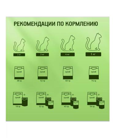 Kitekat Cat food for dry meat feast 4pcs 350g - Buy Online on GoSupps.com