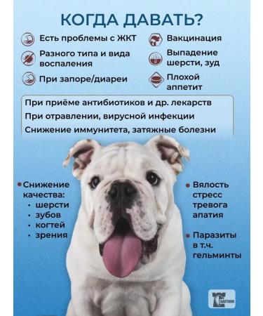 BASTION Vitamins for dogs - Buy Online on GoSupps.com