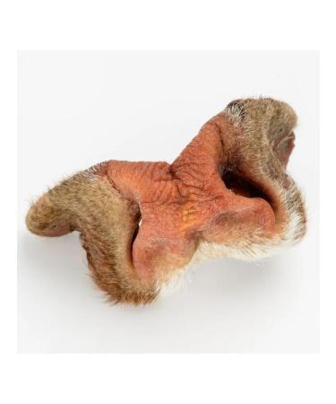 DOG HEROES Beef nose 1-2 pcs 130-150 g - Buy Online on GoSupps.com