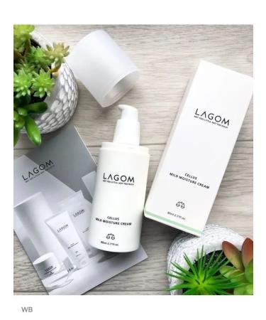 Lagom Light moisturizer - Buy Online on GoSupps.com