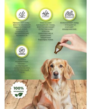 Dermoscent Essenshial 6 SPT for dogs 20-40 kg Essential 6 - Buy Online on GoSupps.com