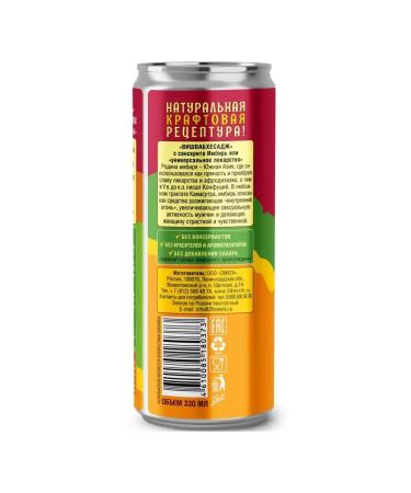 59 NORTH Ginger drink "Energy" Granat Lemonnik-Guarana - Buy Online on GoSupps.com