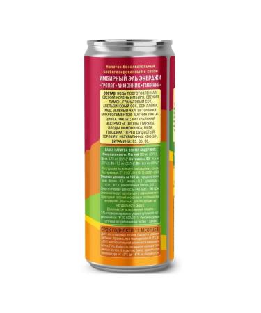 59 NORTH Ginger drink "Energy" Granat Lemonnik-Guarana - Buy Online on GoSupps.com