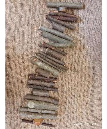 ChinZoo Sninching for chinchillas 45 cm - Buy Online on GoSupps.com