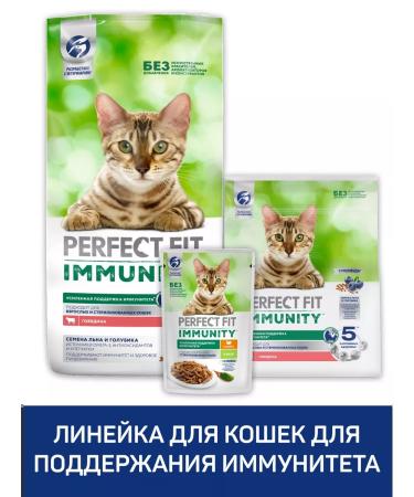 PERFECT FIT Dry food for Immunity cats beef flax blue 1.1kg - Buy Online on GoSupps.com