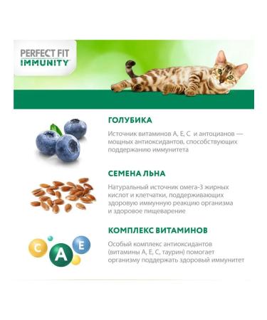 PERFECT FIT Dry food for cats Immunity beef flax 3pcs of 580g - Buy Online on GoSupps.com