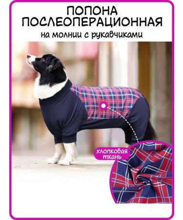 Best Golden Monkey Popon postoperative with a zipper with sleeves