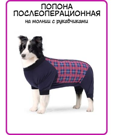 Best Golden Monkey Popon postoperative with a zipper with sleeves - Buy Online on GoSupps.com