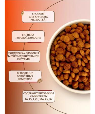 ROYAL CANIN Dry food for cats Siberian Adult 2 kg - Buy Online on GoSupps.com