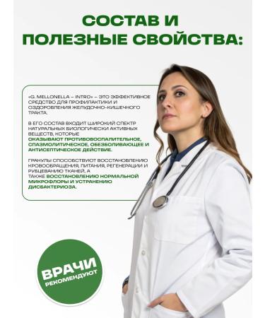 Honey and Jam Galeria Melonella Intro for gastrointestinal tract g.mellonella intro 60 granules - Buy Online on GoSupps.com