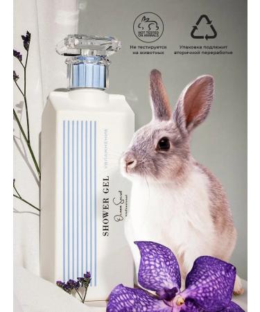 OCEAN SECRET shower gel perfumed with a dispenser of 500 ml - Buy Online on GoSupps.com