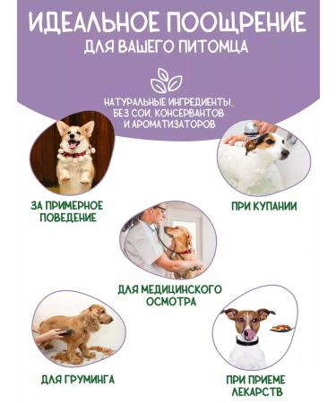 Country delicacies Brush your teeth for dogs Twister with a duck 1 un - Buy Online on GoSupps.com