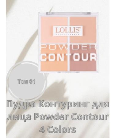 LOLLIS Powder Facial Powder Powder Contour 4 tone 01 - Buy Online on GoSupps.com