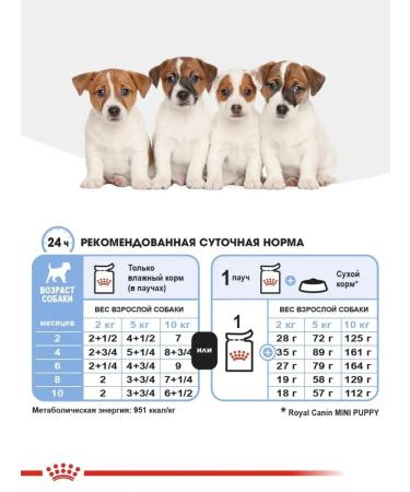 ROYAL CANIN Mini Puppy 85 g puppies 12 pieces - Buy Online on GoSupps.com