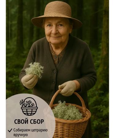 Cetraria Hair shampoo from falling 50g - Buy Online on GoSupps.com