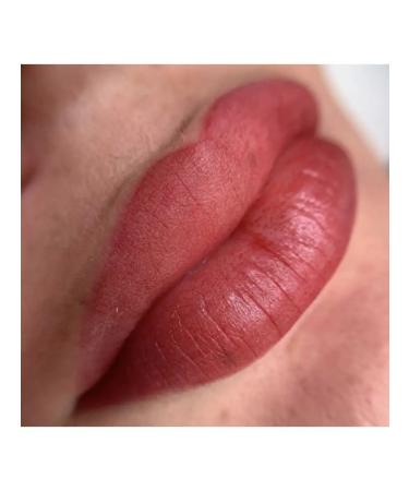 Face Company Face pigments for lip beltchi - Buy Online on GoSupps.com