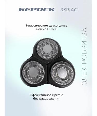 Berdsk Rotor Electric Britter 3301 AS - Buy Online on GoSupps.com