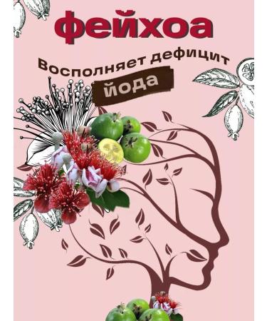 STOEV Feihoa rubbed with sugar 2 pcs - Buy Online on GoSupps.com