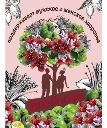 STOEV A set of wiped berries Feihoa 3 pcs - Buy Online on GoSupps.com