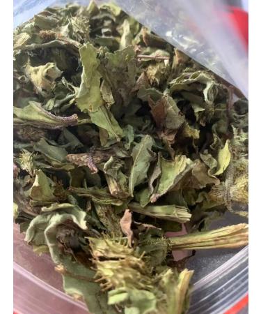 Danila Travnik Durnish grass grass for hypothyroidism thyroid gland - Buy Online on GoSupps.com