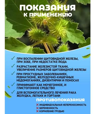 Danila Travnik Durnish grass grass for hypothyroidism thyroid gland - Buy Online on GoSupps.com