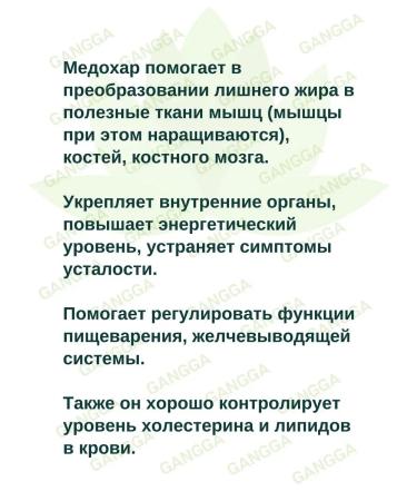 Divya Medohar Vati Medohar Vati for weight loss Divia 3x100 tab - Buy Online on GoSupps.com