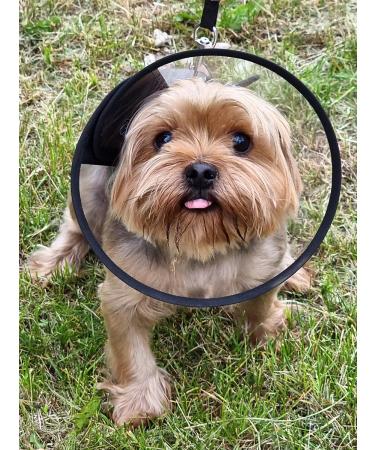 Brave heart Protective collar for cats and dogs on Velcro