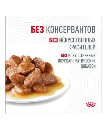 ROYAL CANIN Cat food for moist digestive Care in sauce 85 g 28 pcs - Buy Online on GoSupps.com