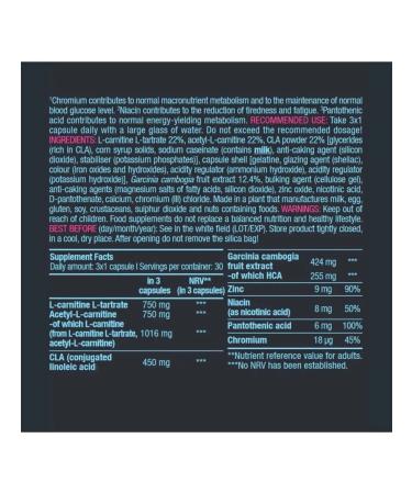 BioTechUSA Biotech Carni Elite 90 pcs L-carnitin complex for weight loss - Buy Online on GoSupps.com