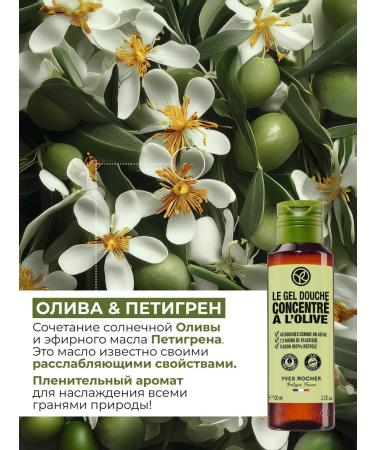 Yves Rocher Shower gel concentrated olive 100 ml - Buy Online on GoSupps.com