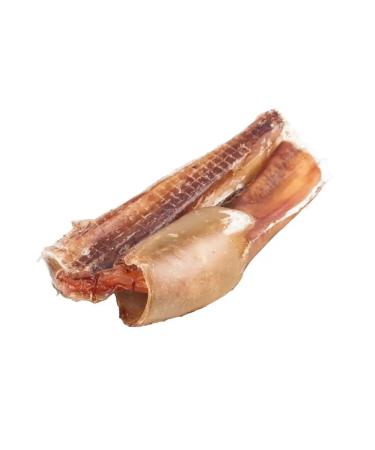 beatus Dog treating - bull root 10 cm - Buy Online on GoSupps.com