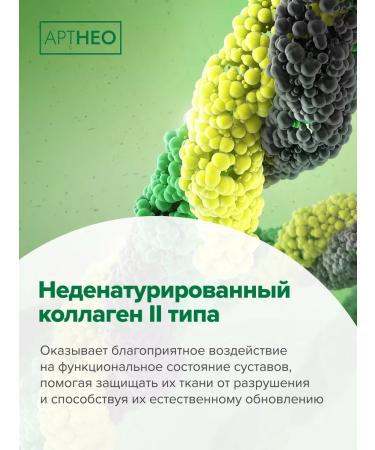 Artneo For joints of type 2 collagen in capsules - Buy Online on GoSupps.com