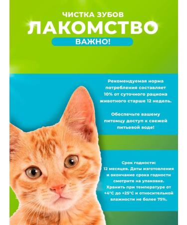 Titbit Cat pillows brushing teeth with duck and mint 60 g - Buy Online on GoSupps.com