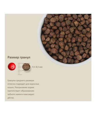 SAVITA Feed for sterilized cats Bezernary trout 5 kg - Buy Online on GoSupps.com