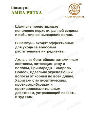 Khadi Natural Shampoo amla rhythch Shampoo amla reetha khadi 2x210 ml - Buy Online on GoSupps.com