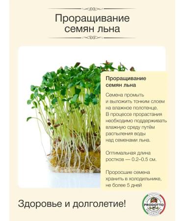 PRODOTTO DELICATEZZA Flash flax seeds for weight loss Brown 250 grams - Buy Online on GoSupps.com