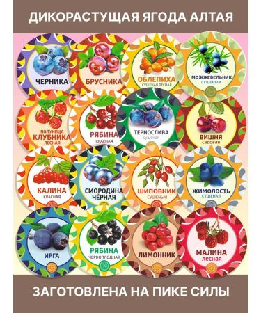 Yasaltaya Liset of Badan Mountain Tea 50 g - Buy Online on GoSupps.com