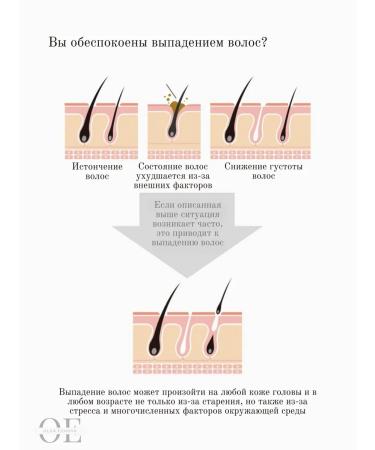 TS Shampoo for recovery 500ml - Buy Online on GoSupps.com