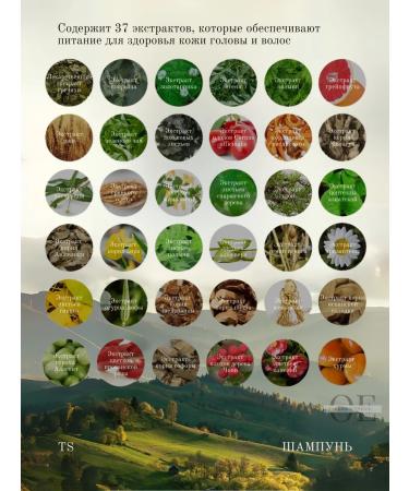 TS Shampoo for recovery 500ml - Buy Online on GoSupps.com