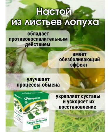 Natural food store Burdock leaves - Buy Online on GoSupps.com