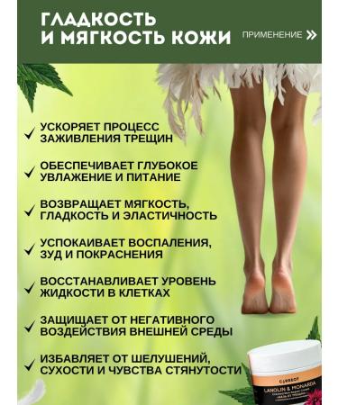 Springs of Siberia Lanolin Monarda from cracks in heels - Buy Online on GoSupps.com