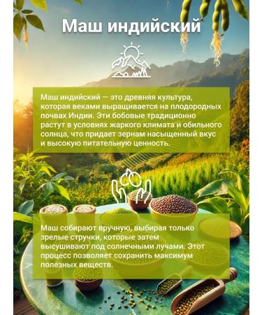 Everfresh Spices Indian Mung gave Mash yellow purified 500 g - Buy Online on GoSupps.com