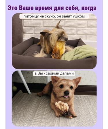 Canezeta Beef ears for dogs - Buy Online on GoSupps.com