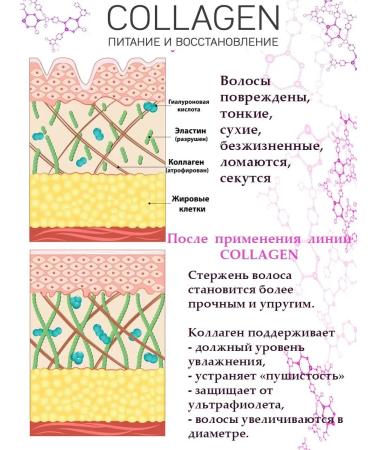 YOUR BODY Professionals Shampoo and balm for fat roots and dry tips - Buy Online on GoSupps.com