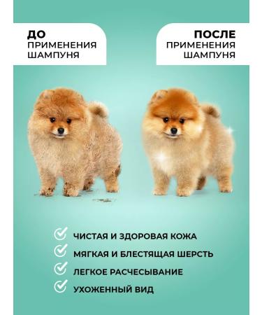 LUIR Dog washing shampoo with chlorhexidine and panthenol 1 liter - Buy Online on GoSupps.com