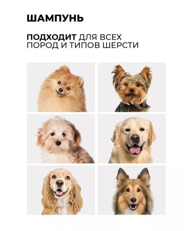 LUIR Dog washing shampoo with chlorhexidine and panthenol 1 liter - Buy Online on GoSupps.com