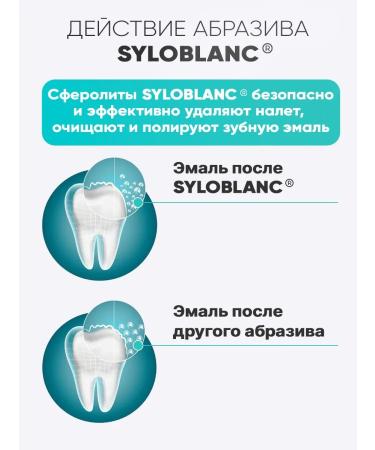 PRESIDENT Pasta Profi Exclusive - Buy Online on GoSupps.com