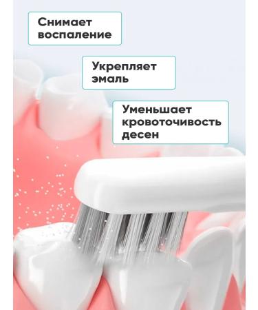 PRESIDENT Pasta Profi Exclusive - Buy Online on GoSupps.com