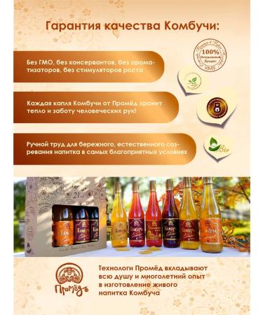 Promyod Combuche with propolis 500 ml Tea mushroom on honey glass - Buy Online on GoSupps.com