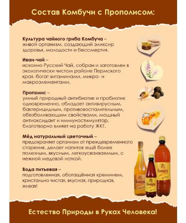 Promyod Combuche with propolis 500 ml Tea mushroom on honey glass - Buy Online on GoSupps.com
